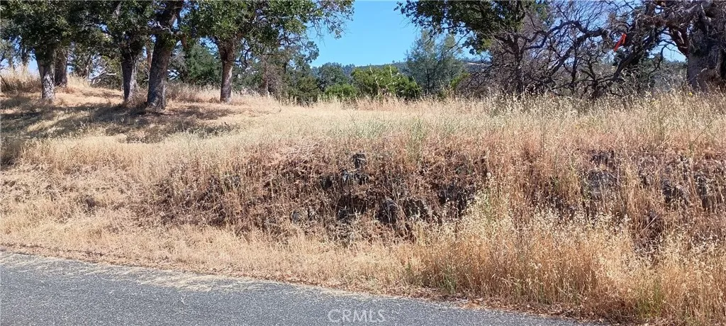 proposed driveway area