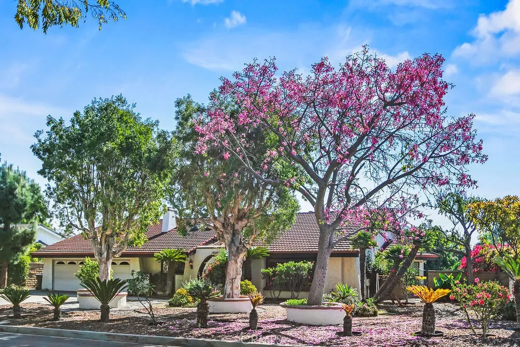 18342 Adams Ranch, Villa Park, California 92861 home-pic-2