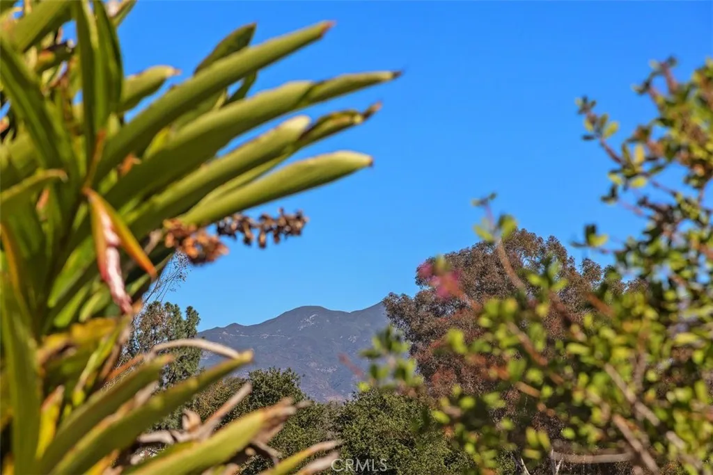 22561 Demasia, Mission Viejo, California 92691 home-pic-43