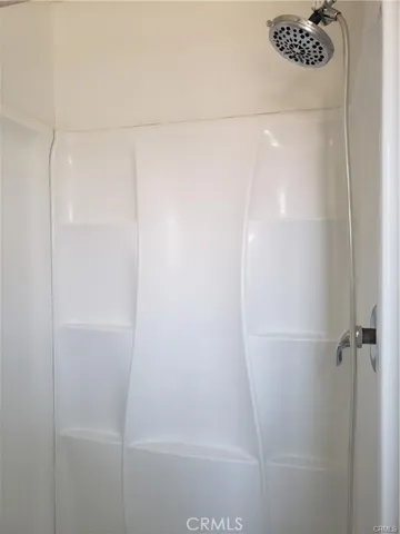 Master bath shower