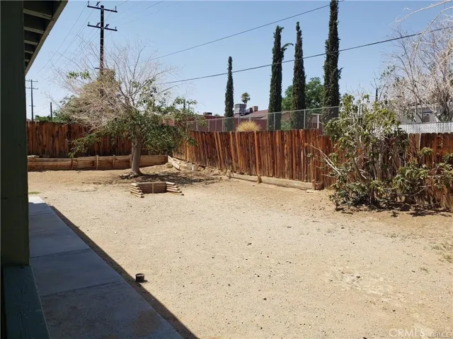 Back yard
