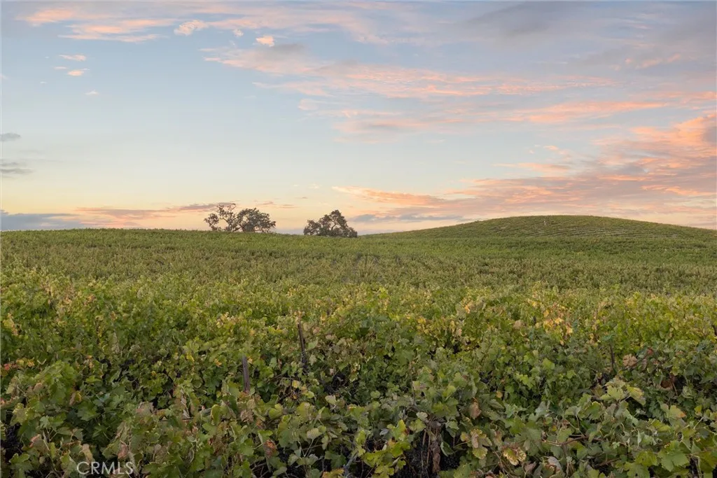 From tasting room, looking east.