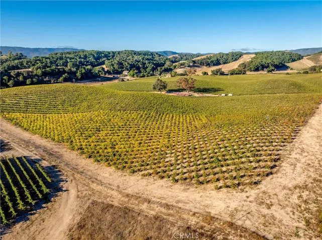 Aerial from north eastern corner of Petite Sirah block.