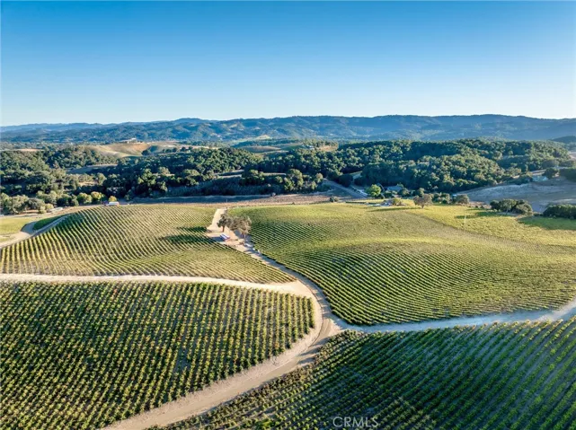 Aerial of northern edge of Cabernet block.