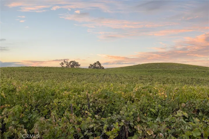 From tasting room, looking east.