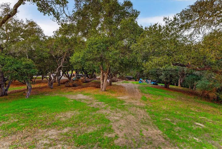 3485 Stable Lane, Santa Cruz, California 95065