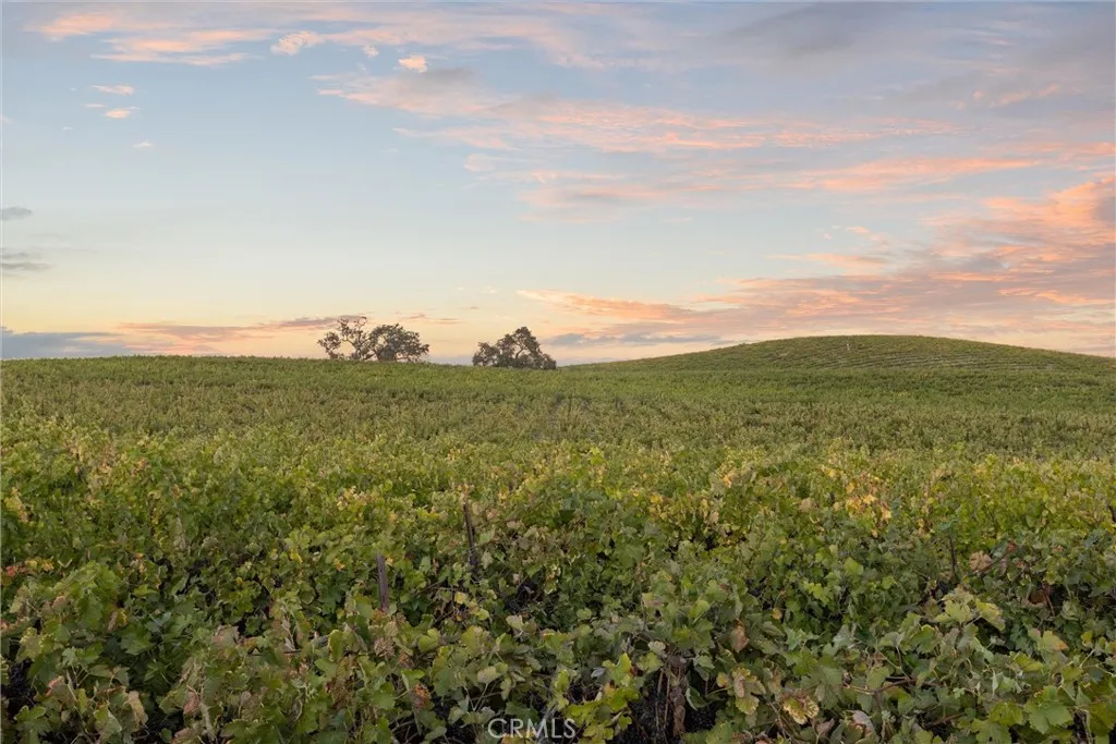 From tasting room, looking east.
