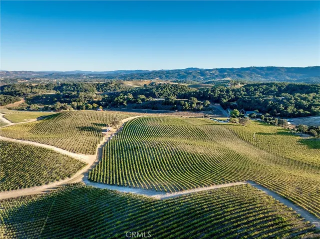 Aerial of northern edge of Cabernet block.