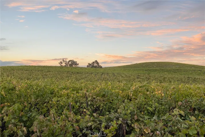 From tasting room, looking east.