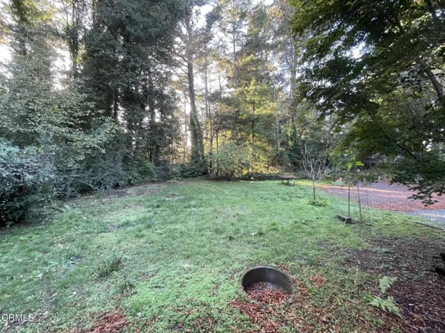 Front Yard