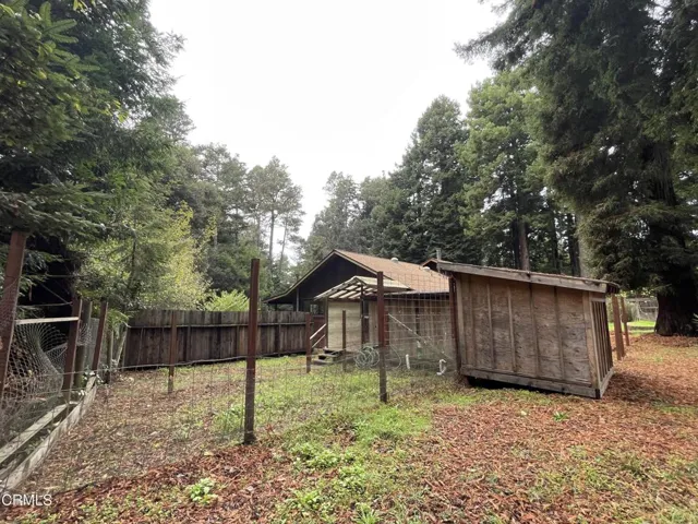 Backyard Chicken Coop