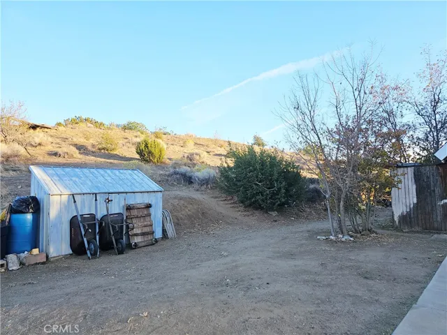 Shed/Backyard