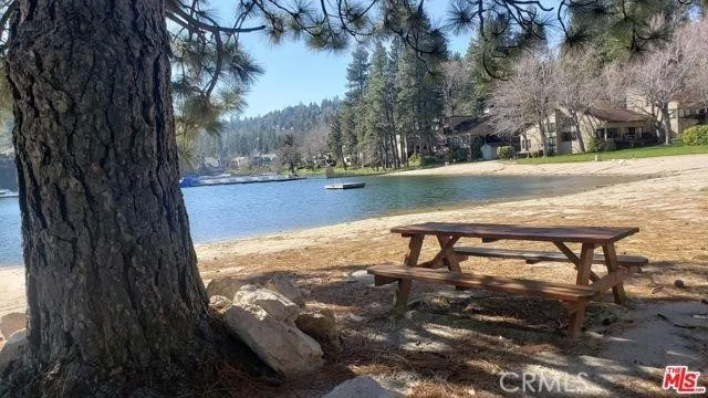 Too much sun? Have a picnic under a pine tree