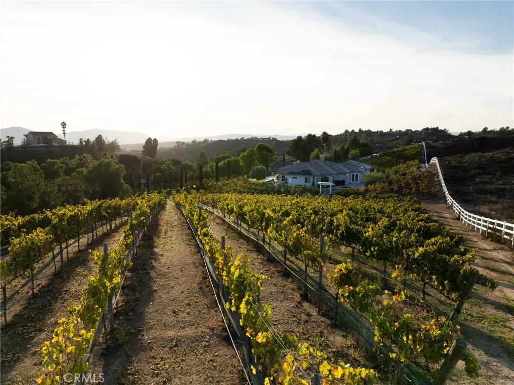 42339 Casa Verde, Temecula, California 92592 home-pic-55