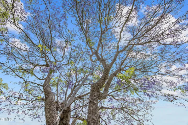 Village 31 Camarillo CA 93012-print-018-