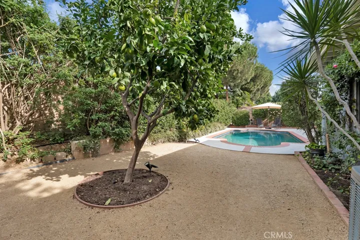 Entertainer’s Back Yard
Private paradise
Sparkling in-ground pool & spa
Resurfaced (2019)
Mini pebble-bottom
New heating and filter equipment (2019)
LED color changing lights 
Newer brick coping and tile
Covered patio
BBQ area on side yard
Mature fruit trees (lemon, orange, nectarine & pomegranate)
Bubblers and drip system on timer
Block wall fencing