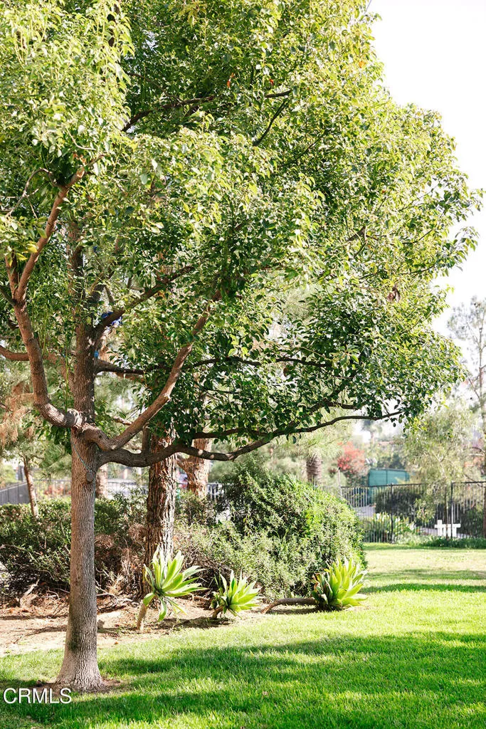 2753 Waverly Drive 302, Los Angeles, California 90039 home-pic-22
