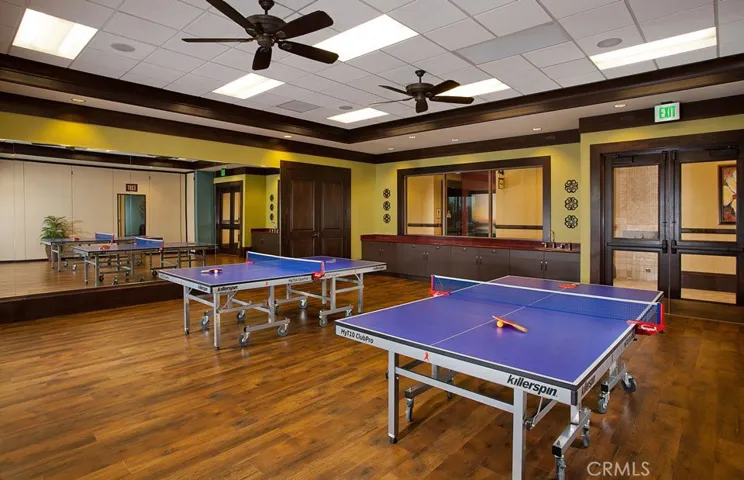 Table Tennis