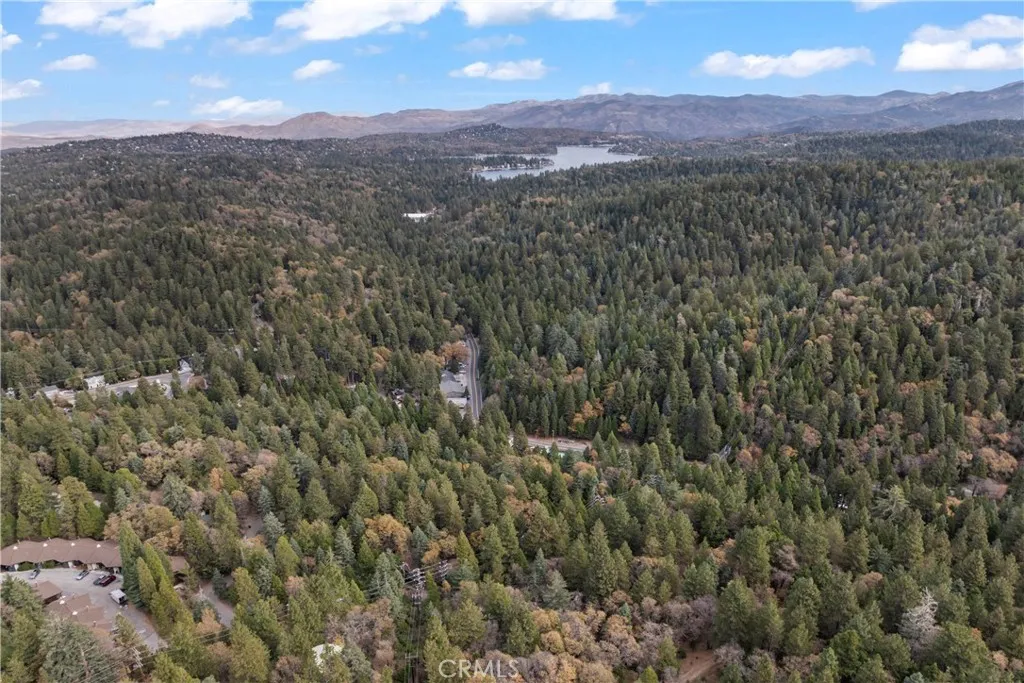 26791 Highway 189, Twin Peaks, California 92391 home-pic-36