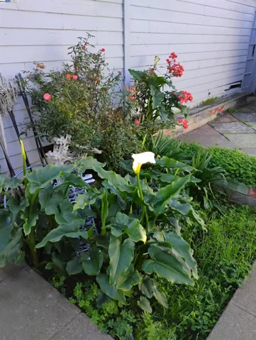 2621 66th Avenue, Oakland, California 94605