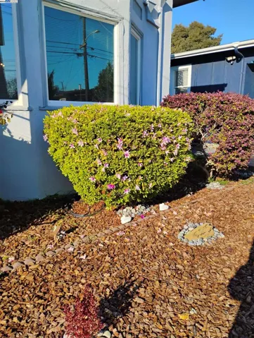 2621 66th Avenue, Oakland, California 94605