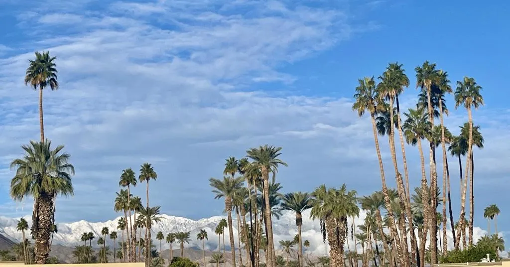 45215 Camino Dorado, Indian Wells, California 92210 home-pic-31