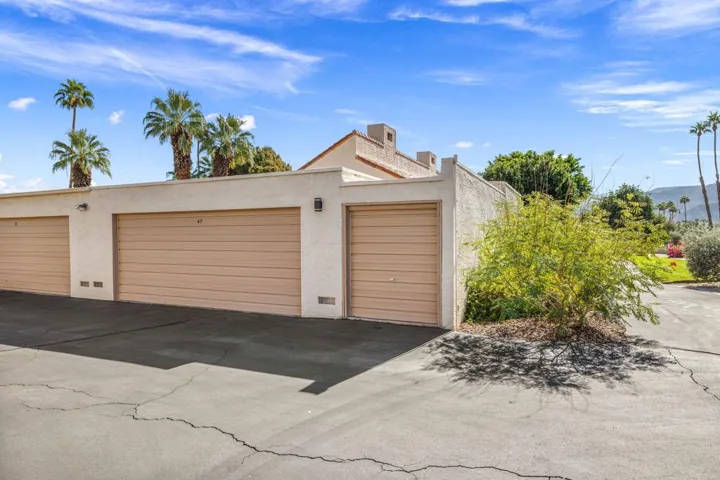 55-web-or-mls-AM4A0031