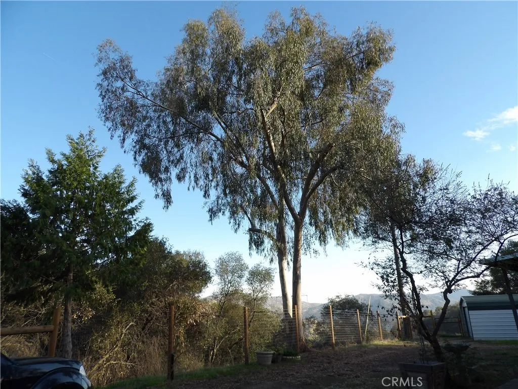 38967 Deerbrook Ln, Squaw Valley, California 93675 home-pic-38