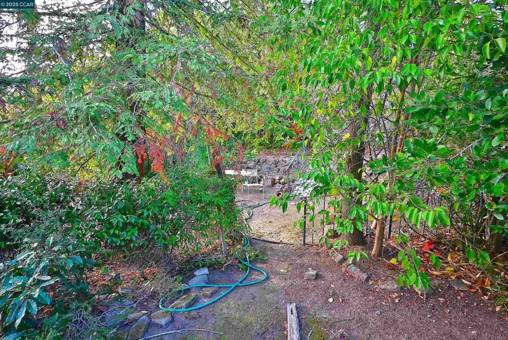 3160 Walnut Blvd, Walnut Creek, California 94597 home-pic-19