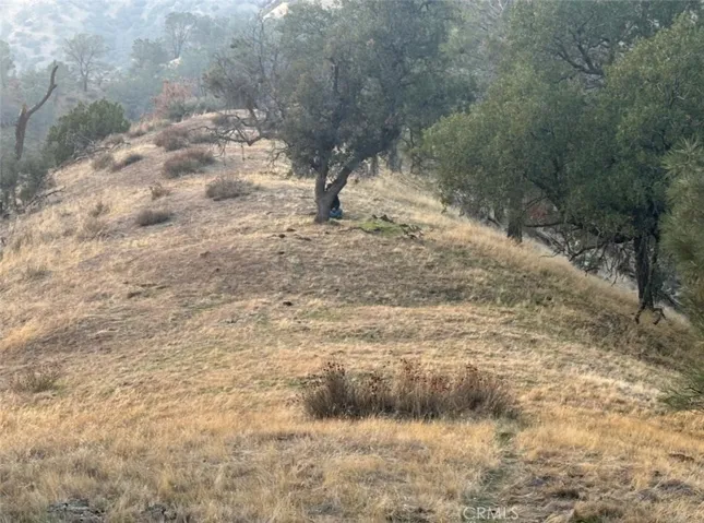 Top of the Mountain to potentially  build a Million Dollar view home
