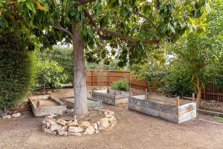 Eight raised planting beds. With all the fruit trees and planting beds, it's a food garden.