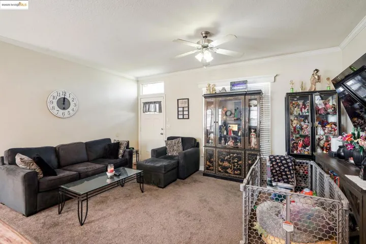 Carpeted living room with crown molding and a ceiling fan