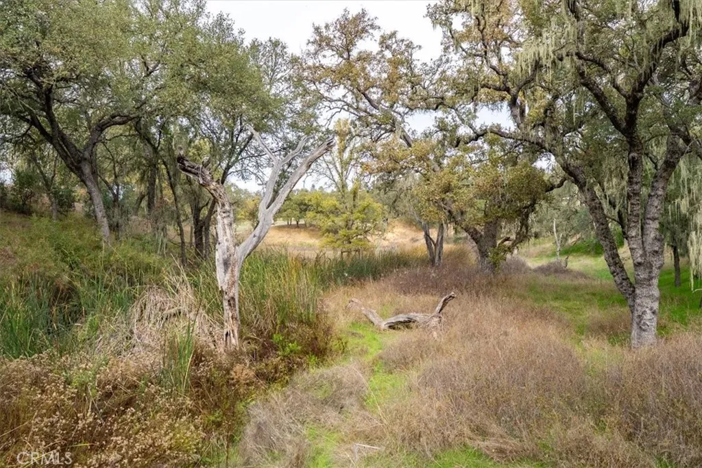 1505 Barley Grain, Paso Robles, California 93446 home-pic-43