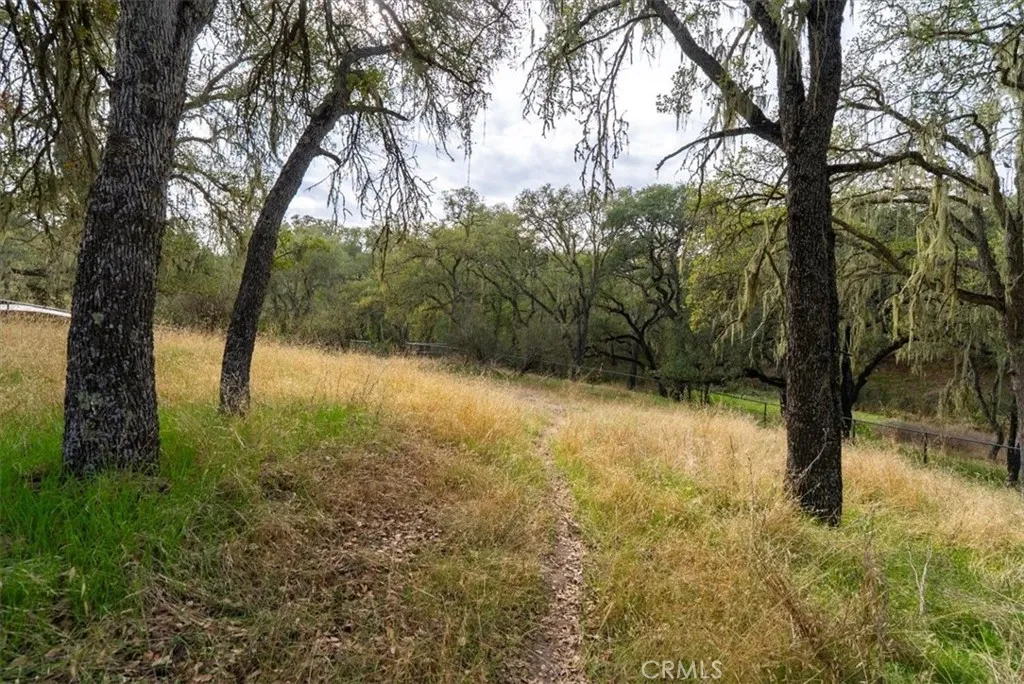 1505 Barley Grain, Paso Robles, California 93446 home-pic-41