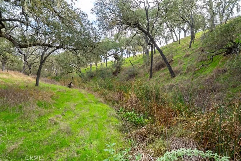1505 Barley Grain, Paso Robles, California 93446 home-pic-44