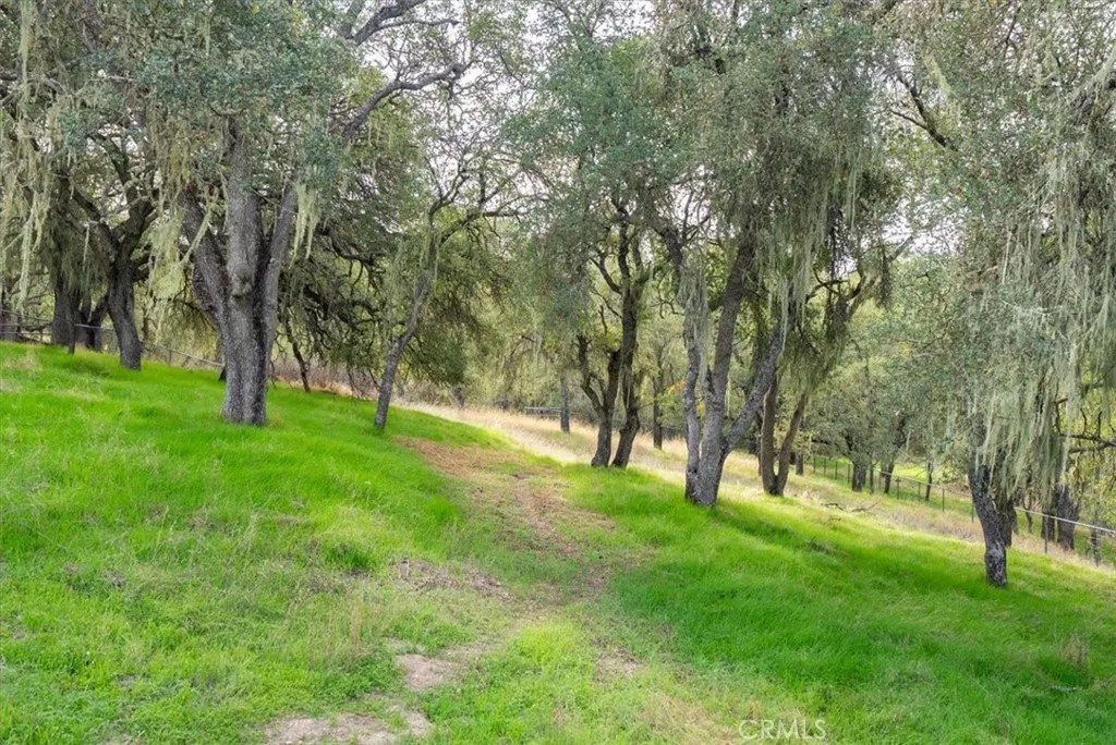 1505 Barley Grain, Paso Robles, California 93446 home-pic-40