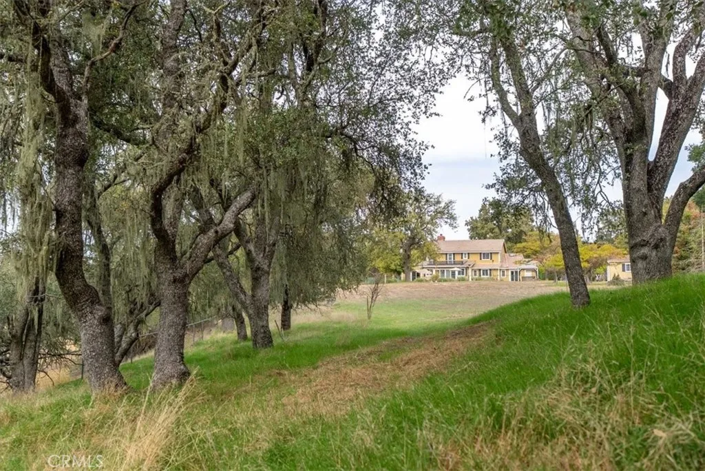 1505 Barley Grain, Paso Robles, California 93446 home-pic-46