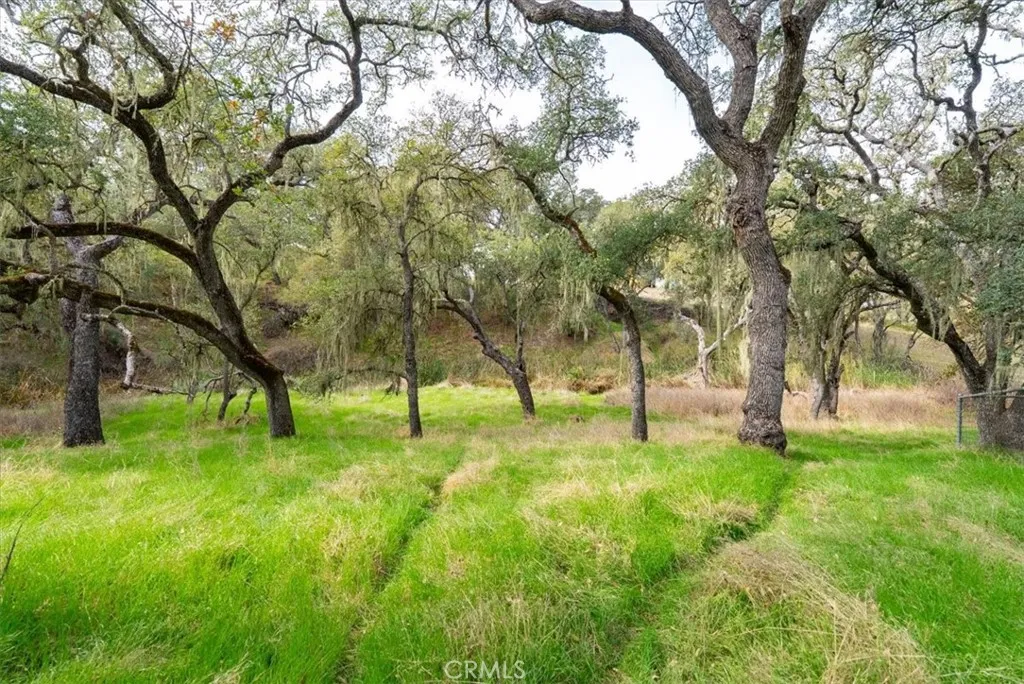 1505 Barley Grain, Paso Robles, California 93446 home-pic-45