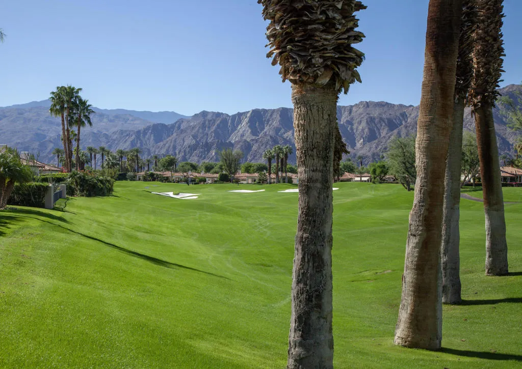 48145 Paso Tiempo Lane, La Quinta, California 92253 home-pic-3