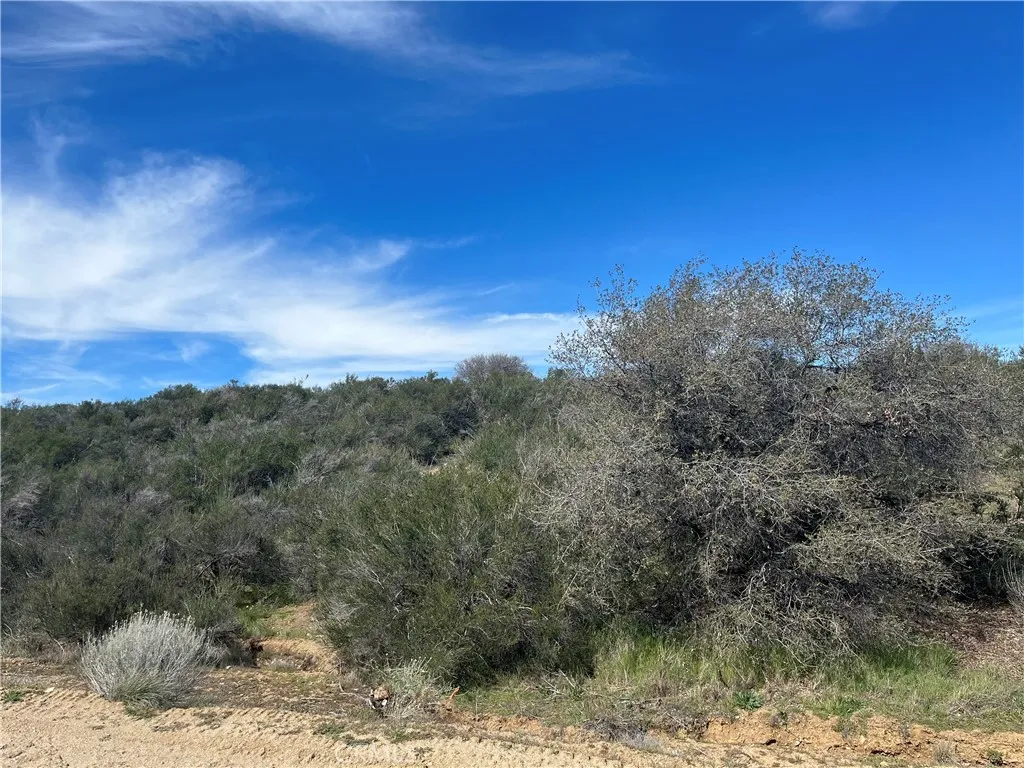 0 Braceo Street, Oak Hills, California 92344 — photo 5