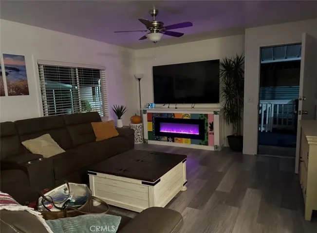 Livingroom view showing Electronic Fireplace