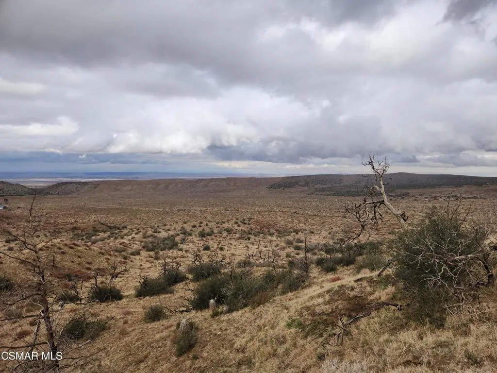 desert 3