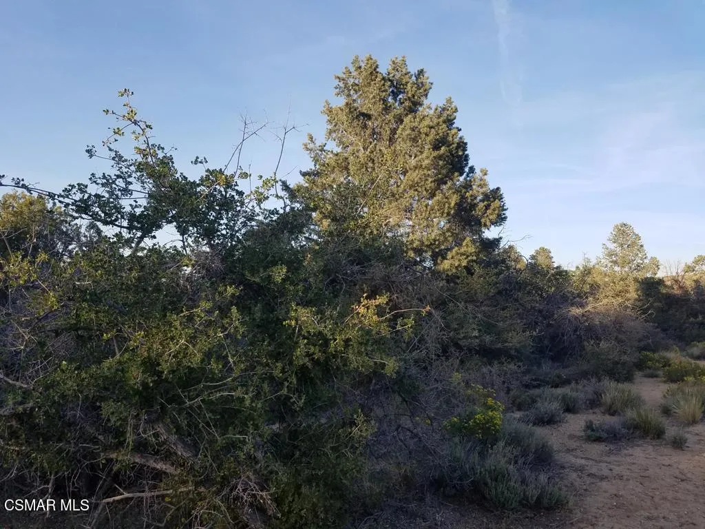 20170414_183947