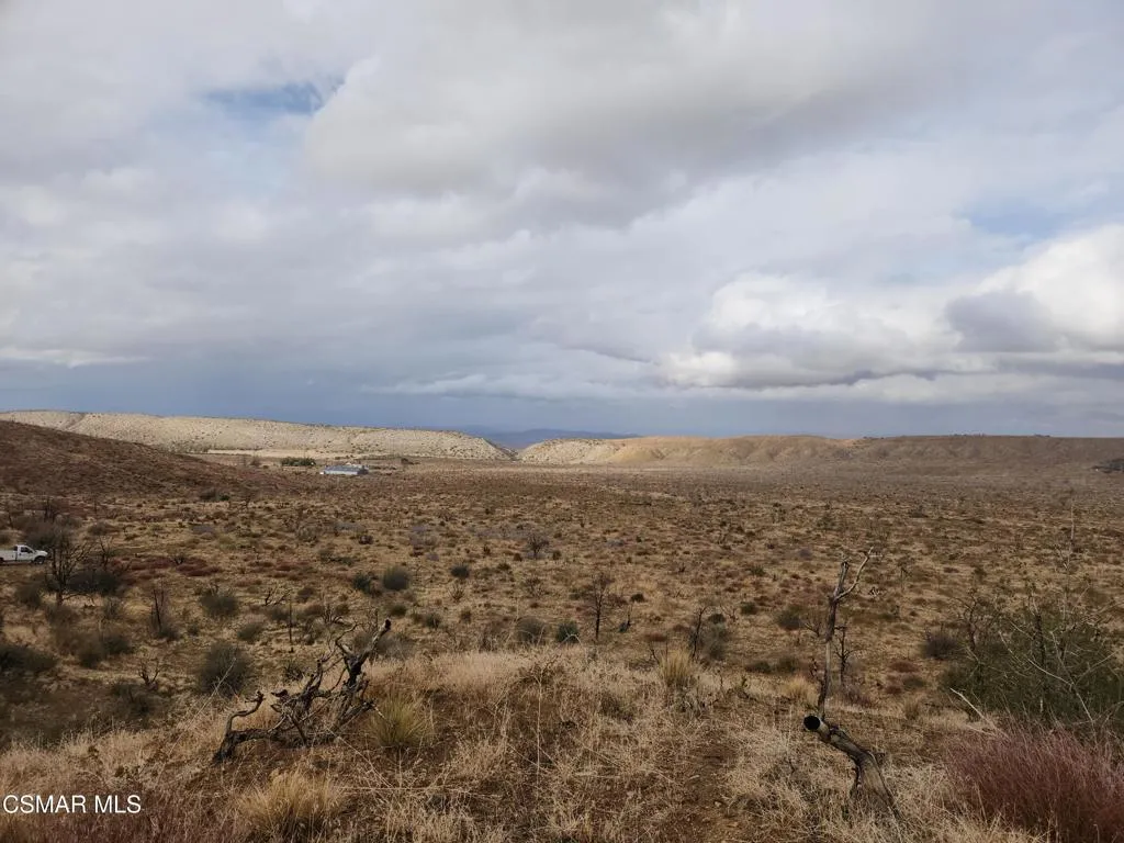 desert 5