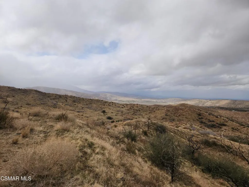 desert 6