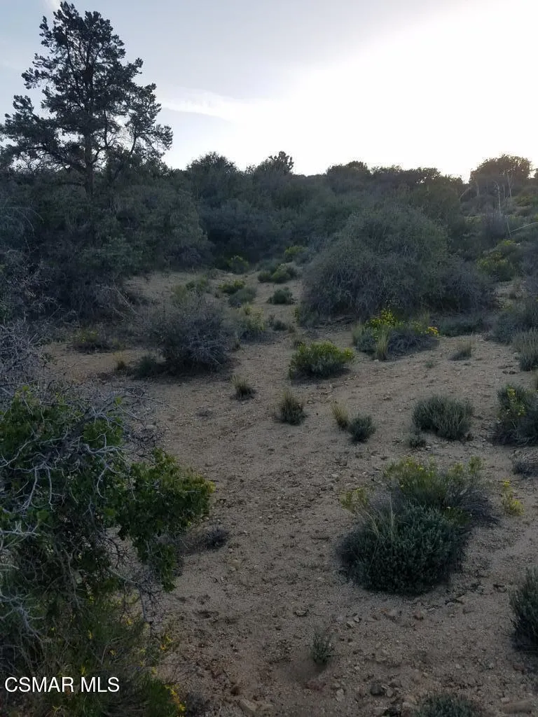20170414_184622