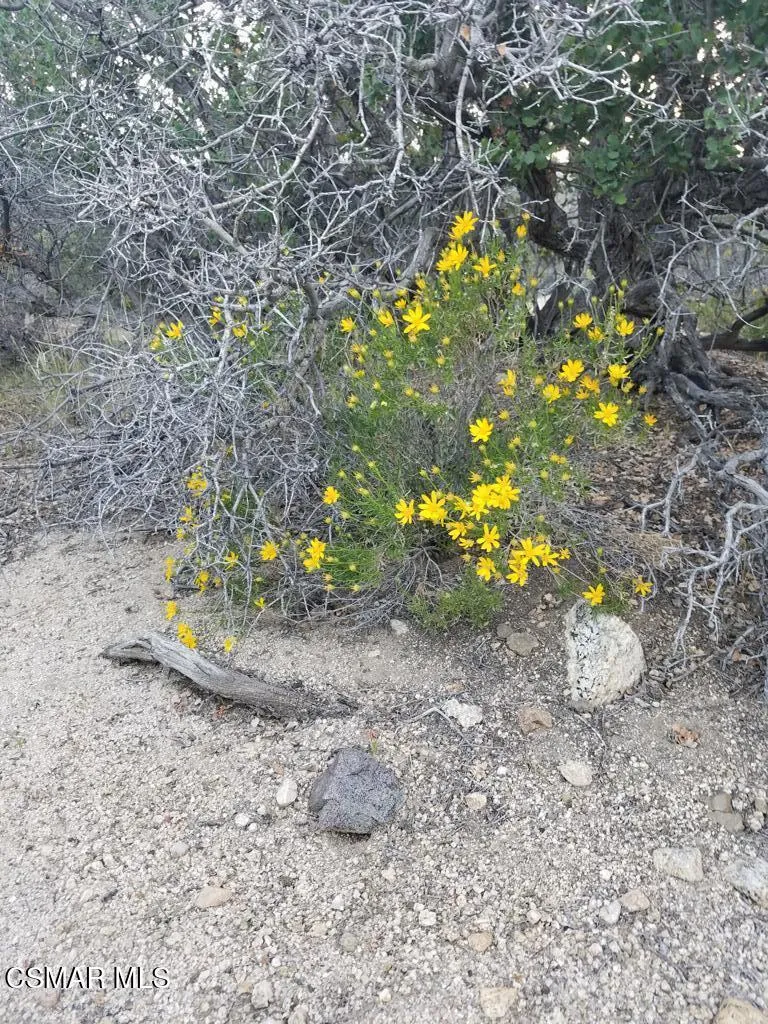 20170414_184552