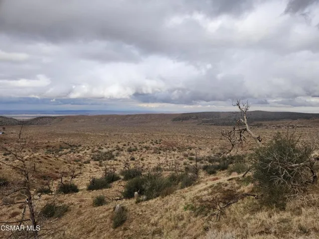 desert 3
