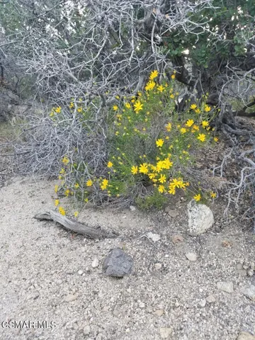20170414_184552