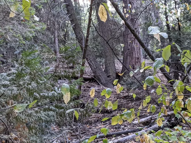 Fleming Creek 2